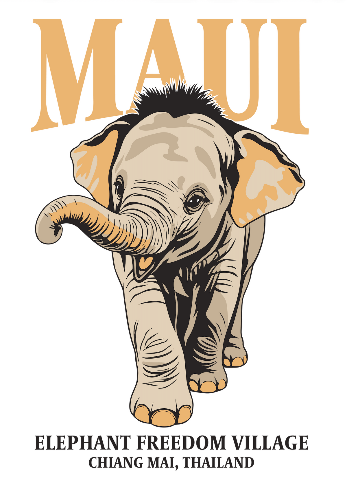 Maui Collection