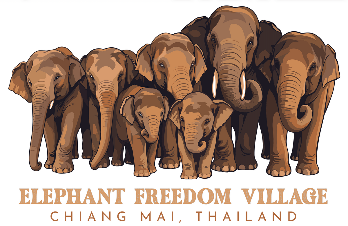 Elephant Family Collection